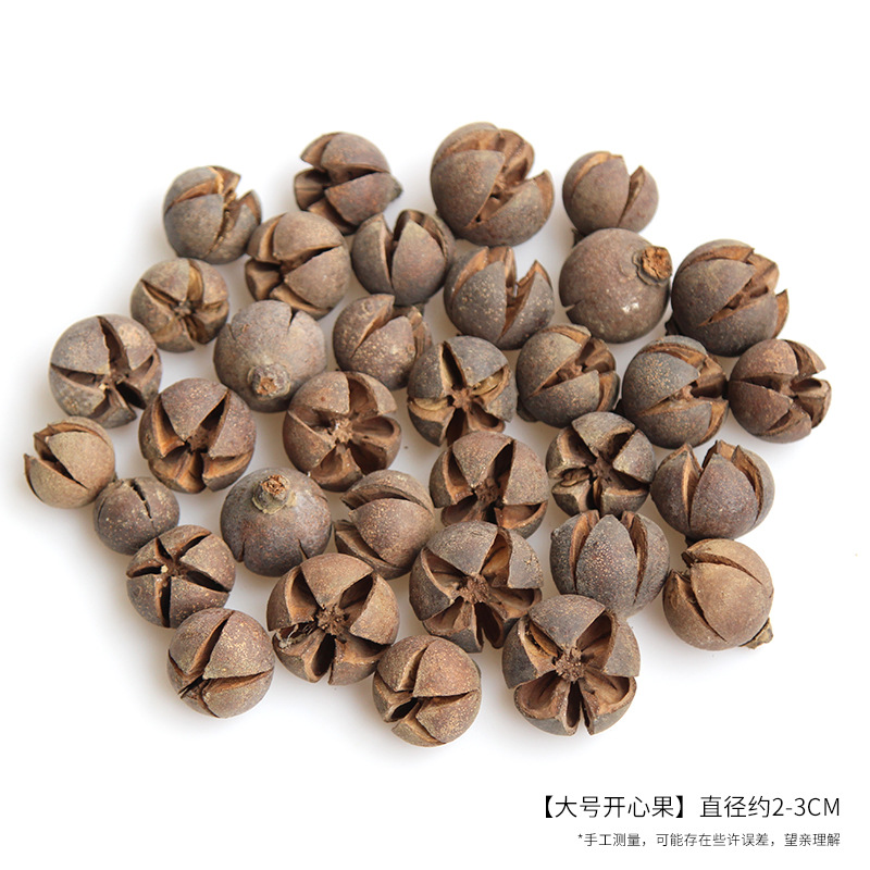 Quả hồ trăn lớn 2-3CM, màu tự nhiên [20 gram mỗi túi, khoảng 5 miếng]