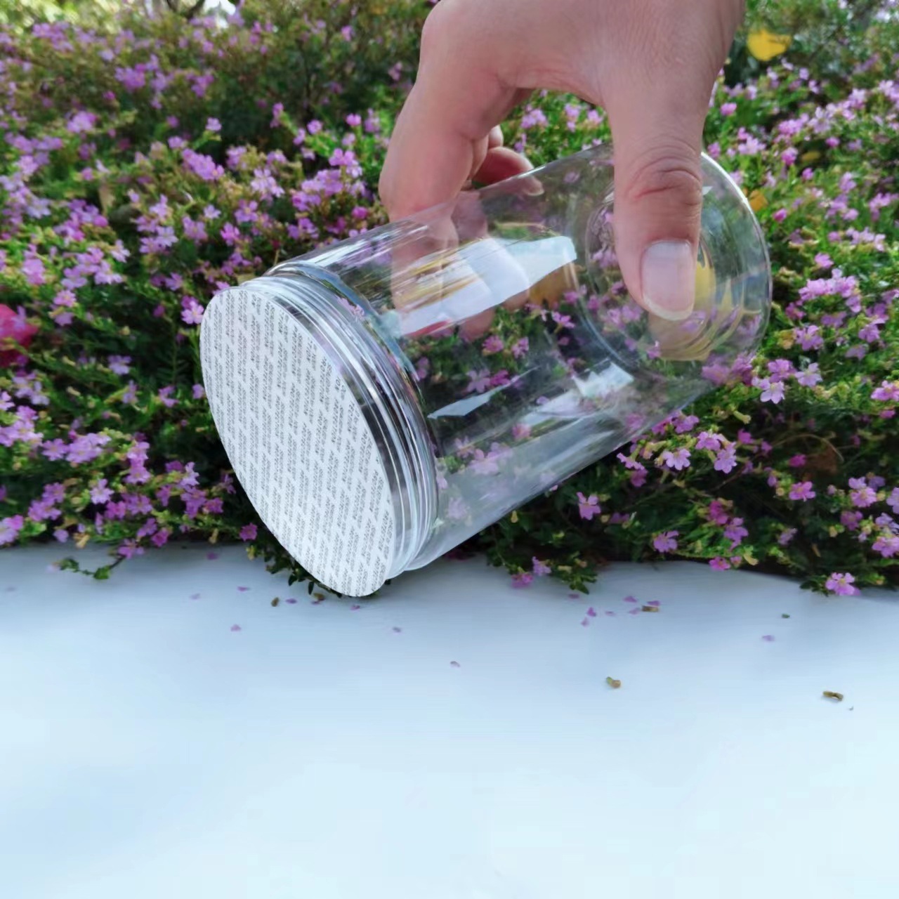 97e16347584590209e0d582529d8d0