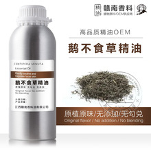 鹅不食草精油鸡肠草油 艾蒿草 现货植物单方鹅不食草油量大优惠