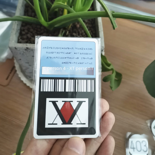 Full-time Hunter License PVC Card HUNTERxHUNTER Killua Zoldyck and Gon Cosplay Prop