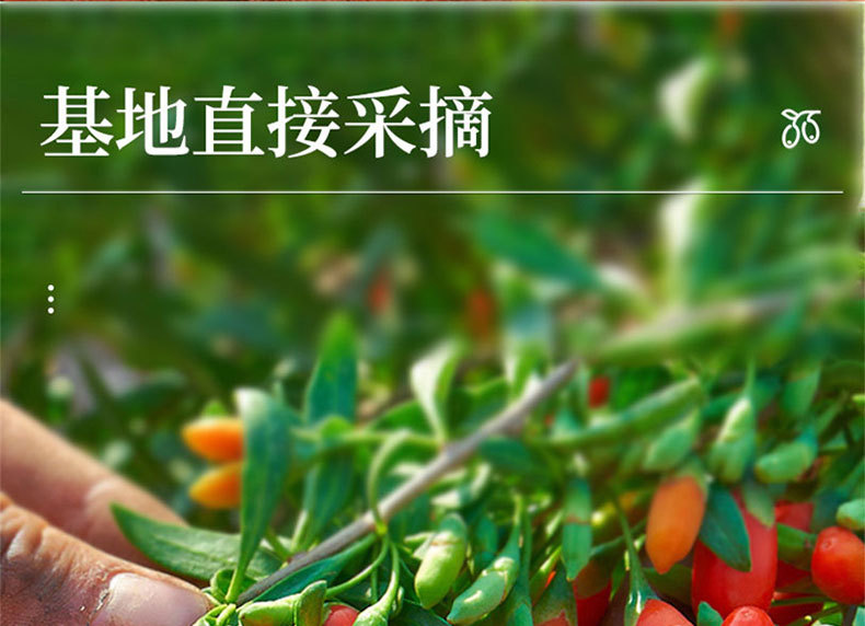 Dried Goji Berries Gou Qi Zi 1 Jin Ningxia Premium Grade Ready to Eat specifications