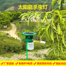 ����ͥԺ���@ ̫��ܚ��x�� �󷶇����� 0��늜������� ���T늓�