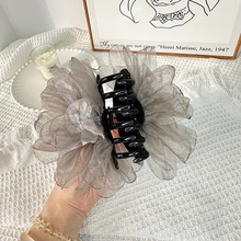 nˇw~AXױPlA픊A߼гɰͰl