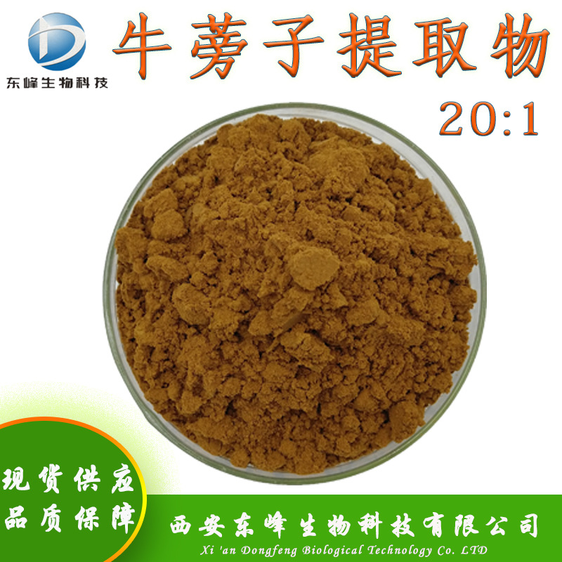 20:1牛蒡子提取物 食品原料现货供应水溶性牛蒡子粉牛蒡子提取物