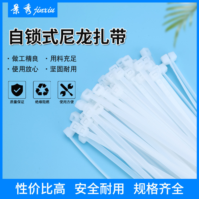 自锁束线带 阻燃尼龙扎带 4*200扎带电瓶车扎带规格齐全