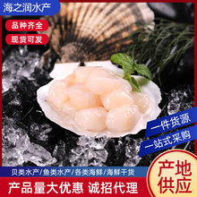 扇贝柱新鲜冻鲜海鲜水产贝类500g元贝柱瑶柱帆立贝扇贝肉柱即食