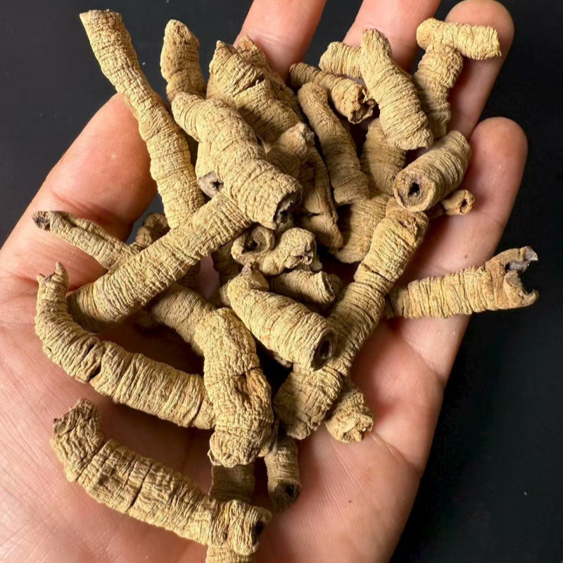 Morinda Root Powder Ba Ji Tian 500g Guangdong Dried Herb for Decoction and Tonic Blends quality and texture