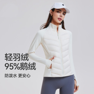 95���Z�qlu�������\����q��������Ů�����p���������I��H��q��