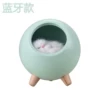 (Bluetooth sound) green