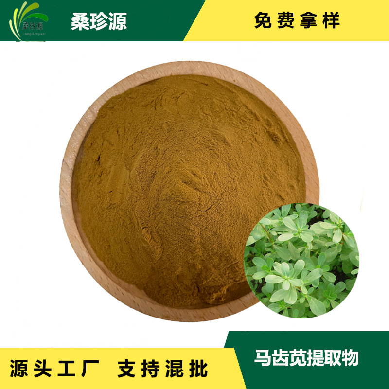 现货供应马齿苋提取物 马齿苋 多规格比例提取物  提供样品