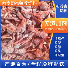 供应冷冻小鸡仔喂食动物饲料鳄鱼蛇狐狸饲料宠物猫狗粮零食