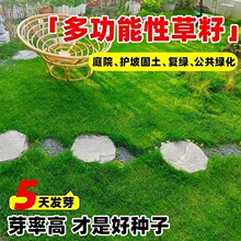 ���l�ļ���������é���Ѳ�ƺ�N�Ӹ���é�����ͺ��o�¹���ͥԺ�G��