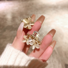 ؈��ʯ��������С̖���X�װ����lץ�A�W�t����ˮ�ǰ�~��l�A��