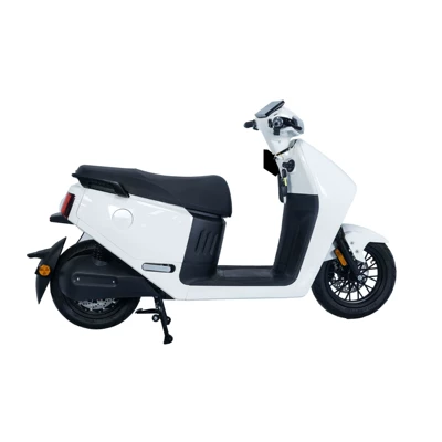 Elektrikli motosikletlər Foreign Commuting Electric Motorcycles, Electric