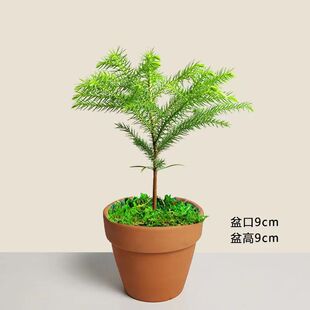 ����ɼ����С�����k���ҿ͏d�҃�����ֲ���҃���Gֲ�ļ������ͺ�