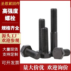 現物供給高強度ボルト8.8炭素鋼発黒外六角ボルト半ボタン外六角ねじ卸売り