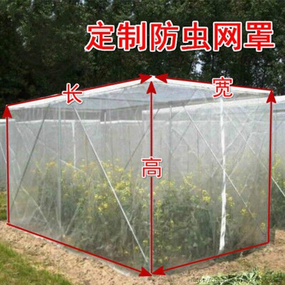 防虫网尼龙网罩蔬菜水果园大棚农用农业青蛙牛蛙蚂蚱养殖网罩围网