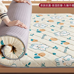 Student Dormitory Single Bed Mattress Tatami Thin Cushion Soft Cushion Bedding Sleeping Mat Winter Foldableing Mattress