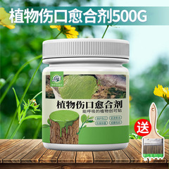 植物の傷の癒しの膏の大きい木の果樹の殺菌の癒合剤の苗木の花の剪定の接ぎ木の癒しの塗布剤