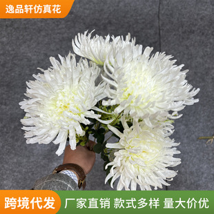 �������滨7�^��צ���ω�������������ջ���z�՚��Ứ���l