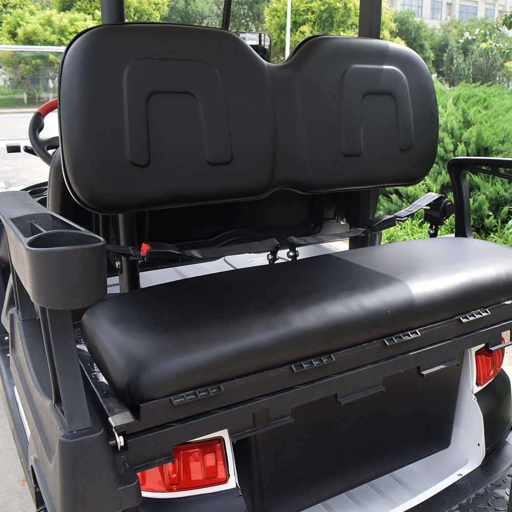 Zhongfeiyida Zhongyi Golf Cart Electric Sightseeing Car 2+2 Off-Road with Bumper Climbing Strong Long Endurance