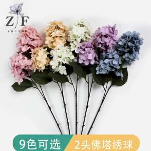 �羳����������滨�A�F�����c�� ��������tɫ��������ٻ�
