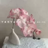 Розовый
