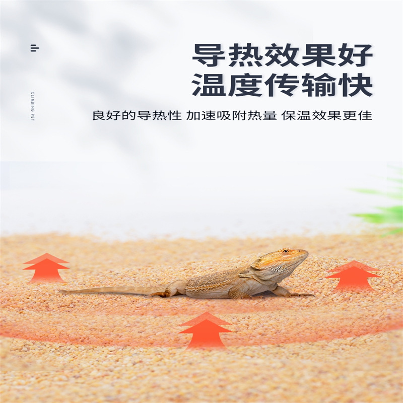 宠物爬虫砂 (6)
