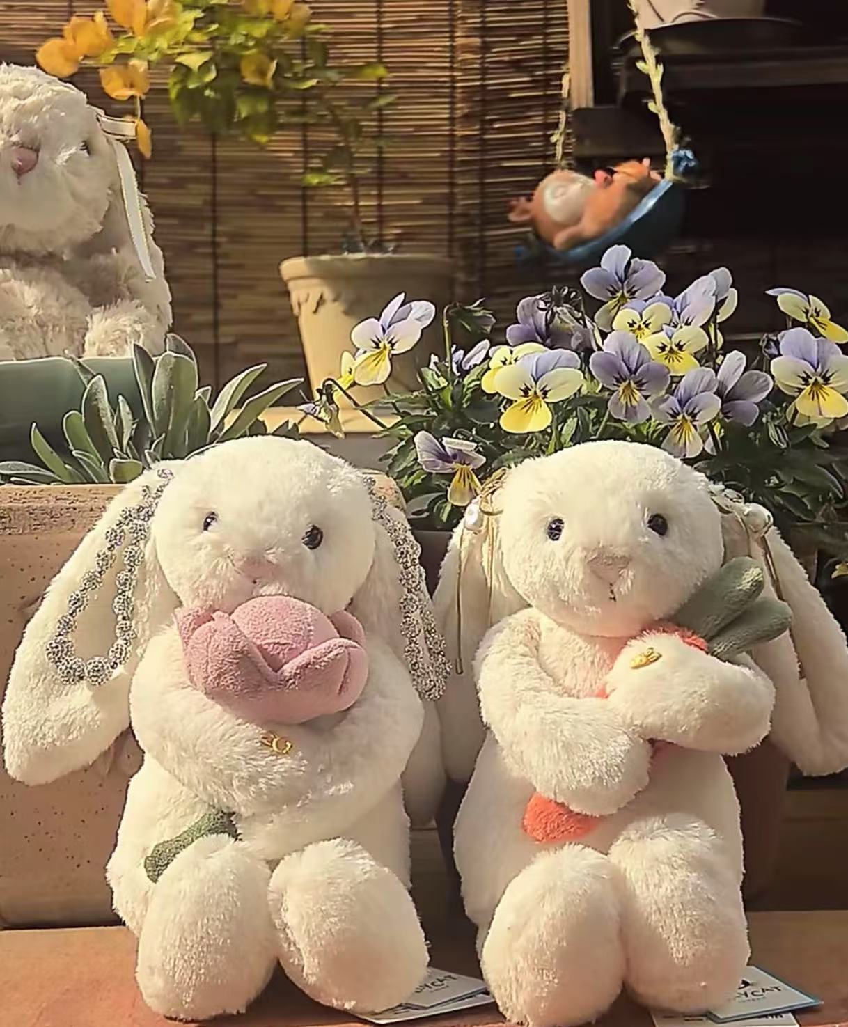 コレクション1;