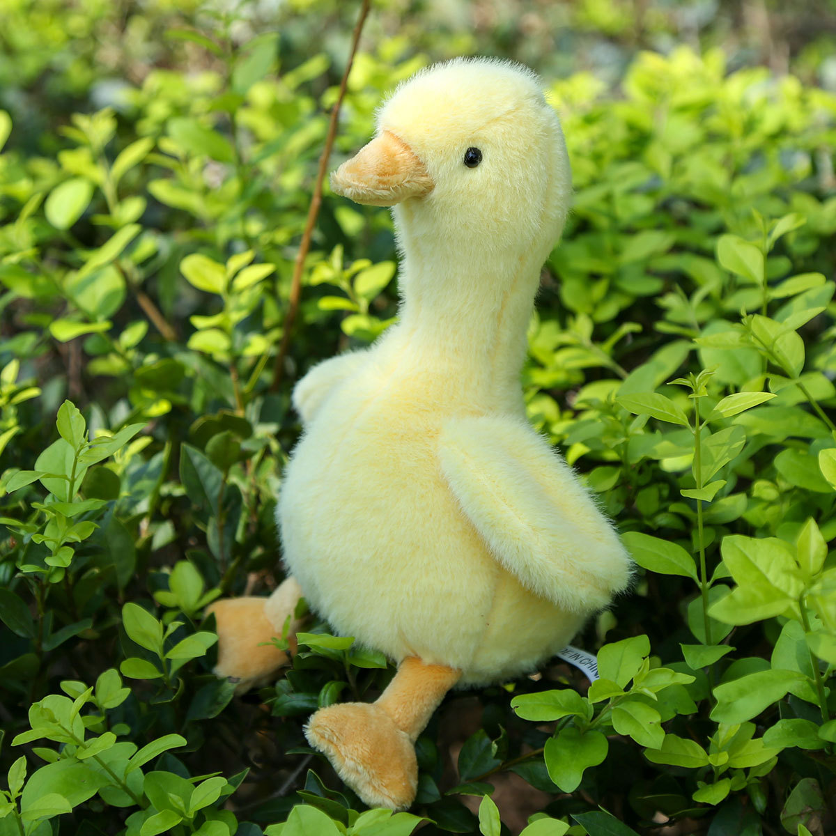 详情-炸毛小黄鸭 (5).jpg