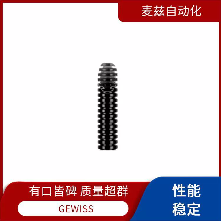 AP01026 GEWISS GWP2234AX840 автоматический выключатель/розетка, Германия, GEWISS