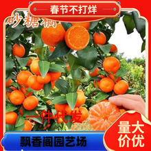 �o���ָ��� 091�o�� �ָ̘��� ����^�ľ�޽����������Ե��Ը���