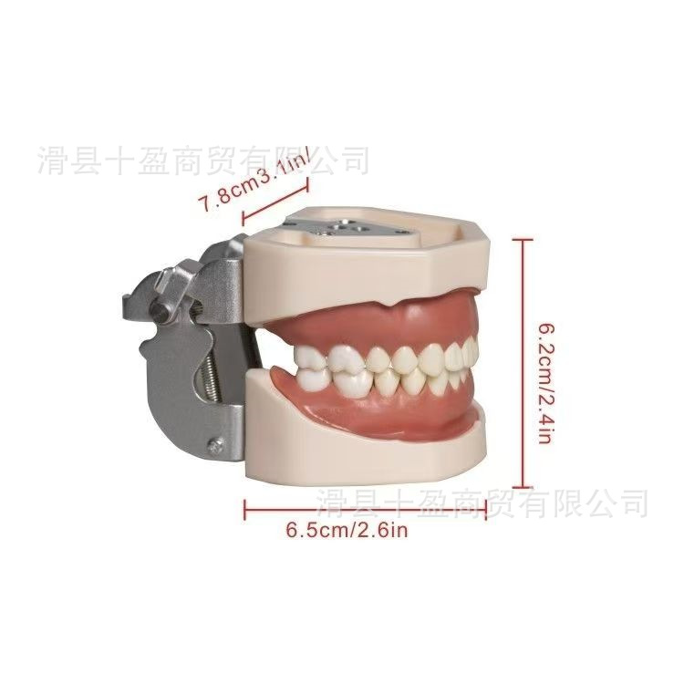 2a7a1c8c9d57e28300227677776915