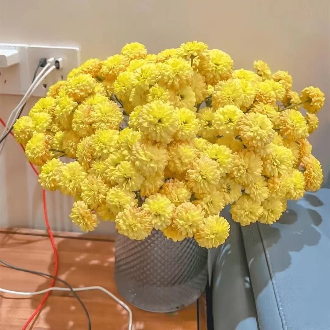 585263d69c16e870e69c3f44afb0aa