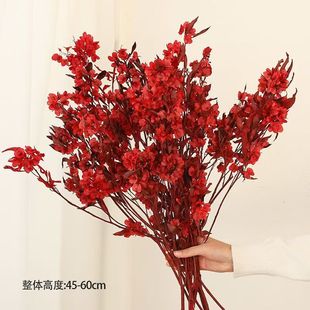 ӭ�Ͷ��������������ɻ��������滨�͏d�����廨�b�����������