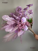 ɫϵٻcֻĽYF·廨Yõb̫