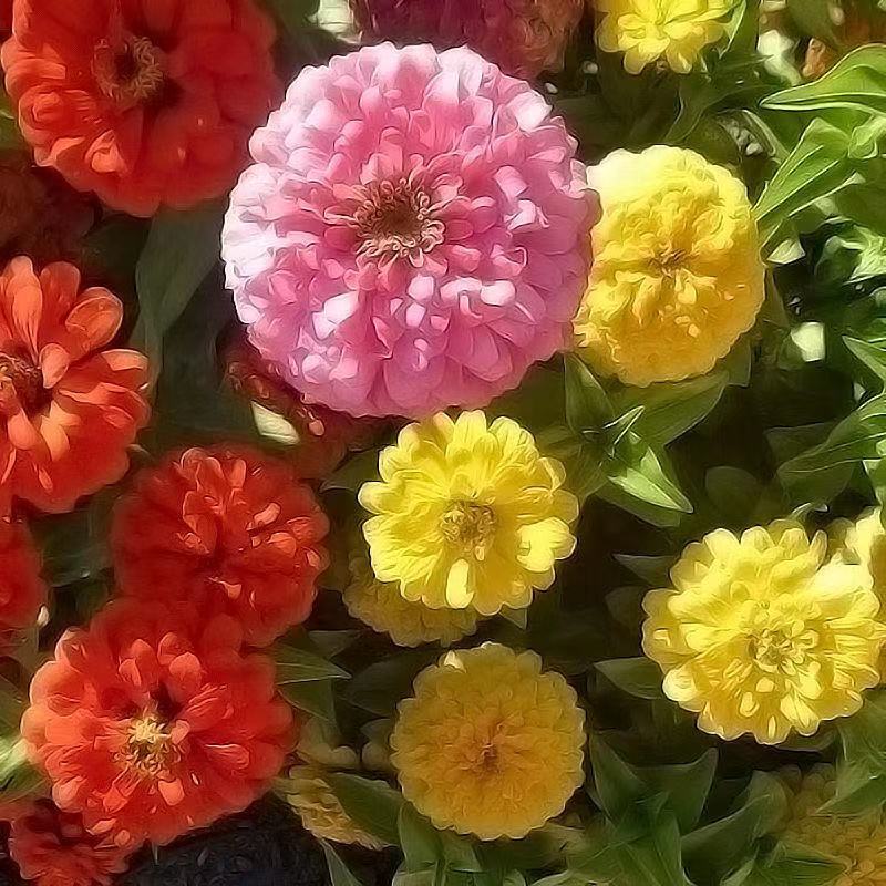 ΢��ͼƬ_20220831161859