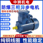 防爆三相异步电动机220v/380V1.1/2.2/4/5.5/7.5/11/22高效节能