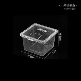 跨境人渣盒爬虫箱螳螂跳蛛养蚕饲养盒爬行动物睫角寄居蟹饲养箱