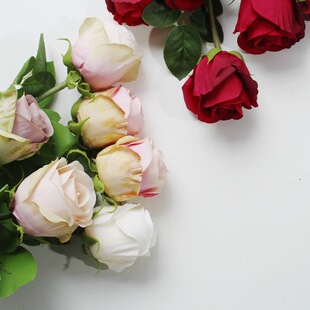 ����õ�廨 �͹ŷ� �ϻ�ɫ��Ͷ� �����仨 ��ˇ�쾰 ��Y�b�