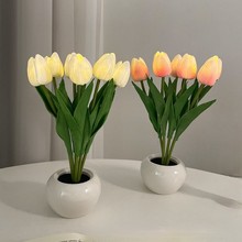 LED������Сҹ�����滨�������Ҵ��^�����bՇ���ins��Ų̊��