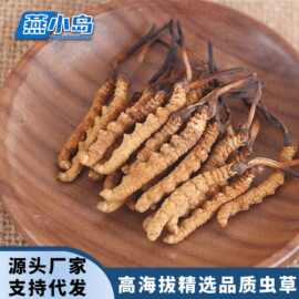 西藏那曲冬虫夏草原产地足干虫草全肉断草滋补品礼盒装批发自己吃