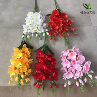 5�愦�m�����滨�ٻ����l�S�� ��c�b��̽����[�ŷ��愦�m