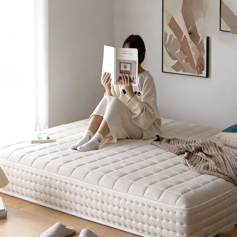 Independent Spring Mattress Household Soft and Hard Mattress Detachable and Washable 25cm Thick Natural Coconut Palm Simmons