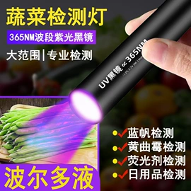 手电筒;手电筒;提灯