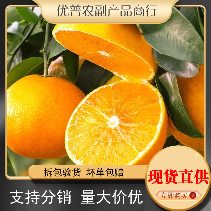 Youpu Ehime Jelly Orange Shipped from Sichuan, Early Season Green-Yellow Oranges with Free Shipping, Seasonal Fruit Jelly Orange, One-Piece Dropshipping Youpu Ehime Jelly Orange Shipped from Sichuan, Early Season Green-Yellow Oranges with Free Shipping, Seasonal Fruit Jelly Orange, One-Piece Dropshipping