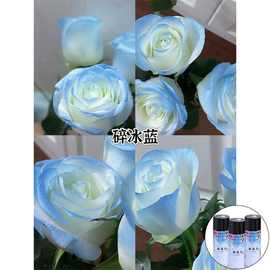 鲜花喷漆花艺彩色手摇喷漆上色剂花店染色自喷漆花束喷色资材