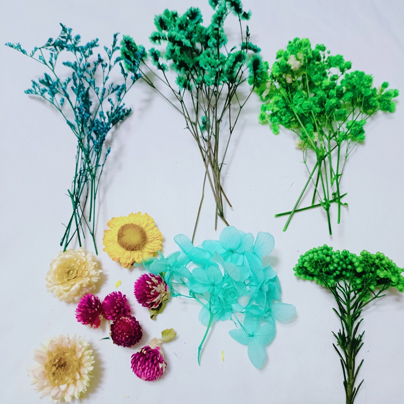 Festival bricolaje hecho a mano material de flor eterna planta flor seca florero flotante aromaterapia flor seca abanico de material paquete al por mayor