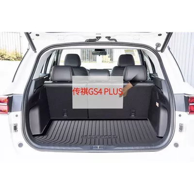 Chuanqi gs4max Plus trunk | Trunk Mat