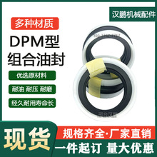 批发标准活塞五组合密封TPM/DPM/K18/H780油封密封圈31.1*35.1